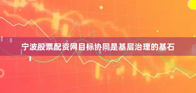 宁波股票配资网目标协同是基层治理的基石