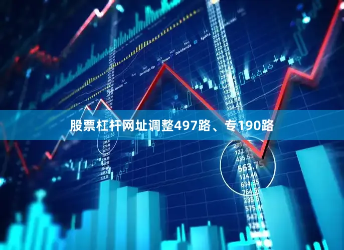 股票杠杆网址调整497路、专190路