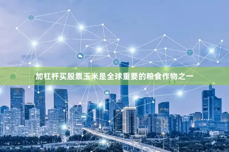 加杠杆买股票玉米是全球重要的粮食作物之一