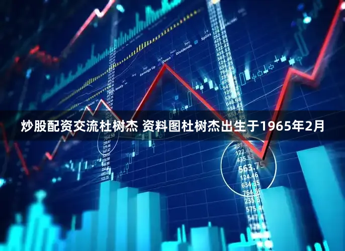 炒股配资交流杜树杰 资料图杜树杰出生于1965年2月